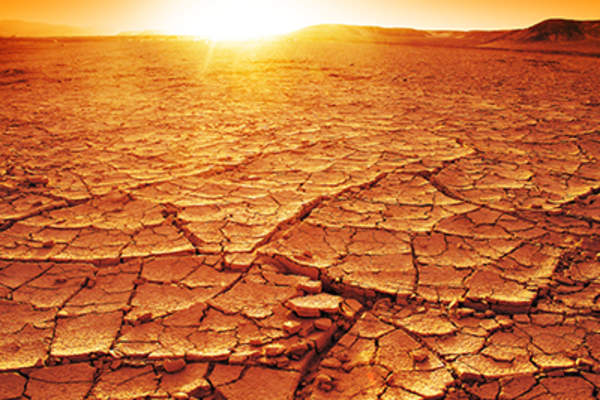 Dehydrated desert landscape.