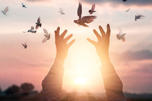 Woman freeing birds to fly.
