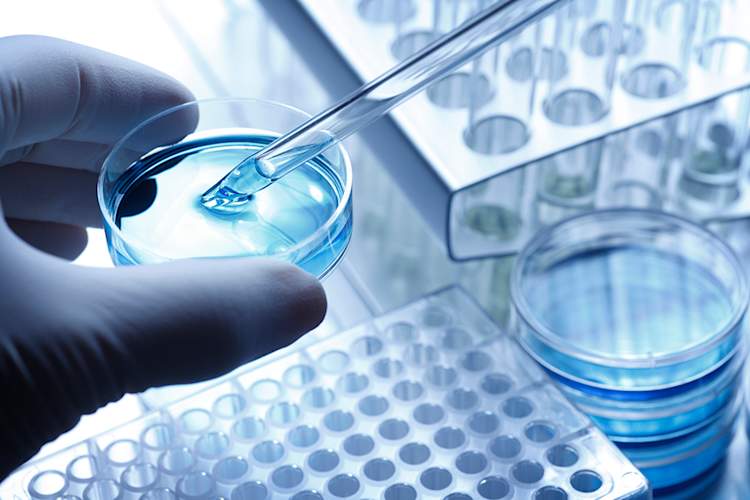 Researcher