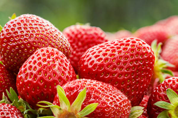 Strawberries