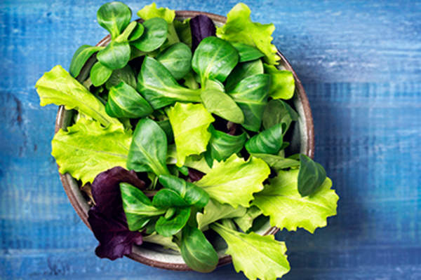 Mixed green salad leaves in a bowl.