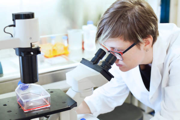 Examining biopsy through microscope.