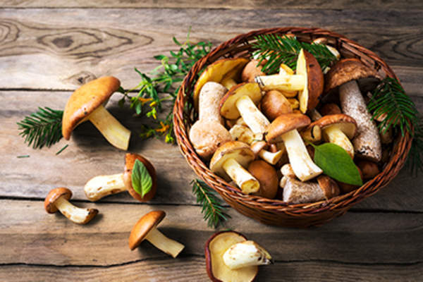 Mushrooms in a basket.