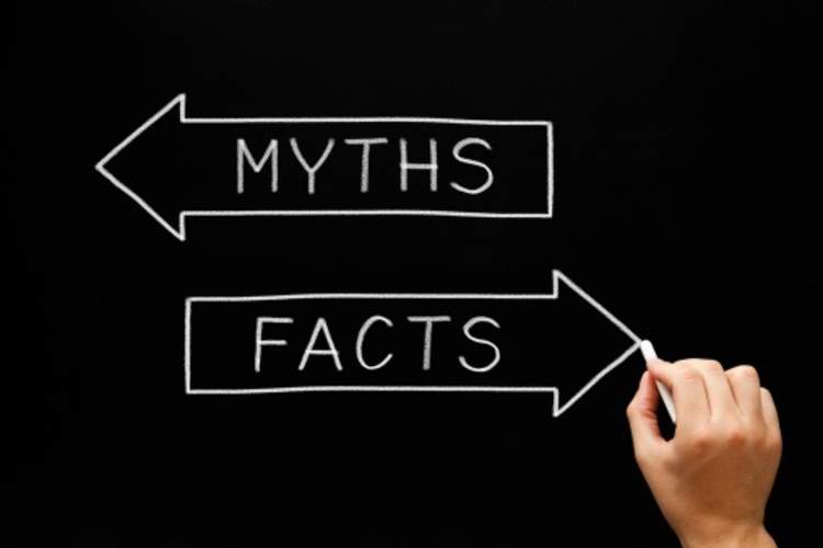 Myth vs. Fact: Food Allergies