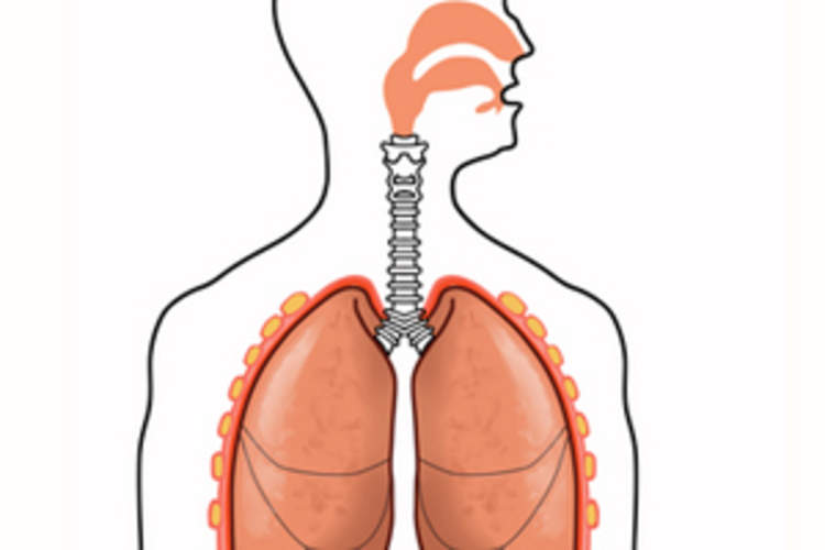 The Stages of COPD