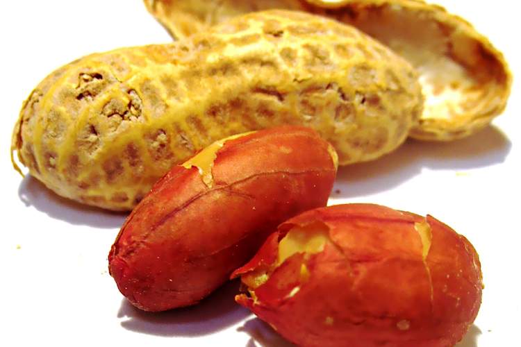 Peanuts As a Treatment for Peanut Allergies?