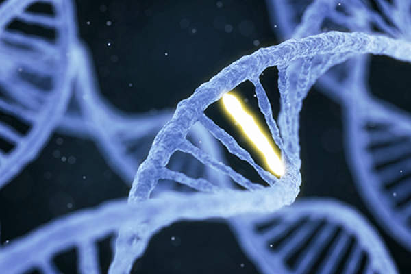 DNA image