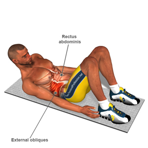 abdominal muscles