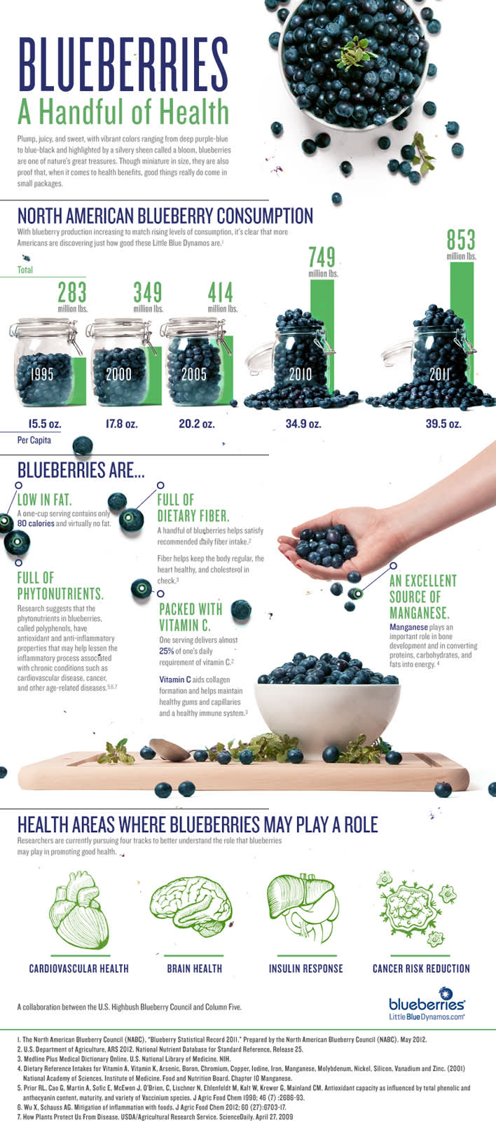 Blueberry Infographic: A Handful of Health
