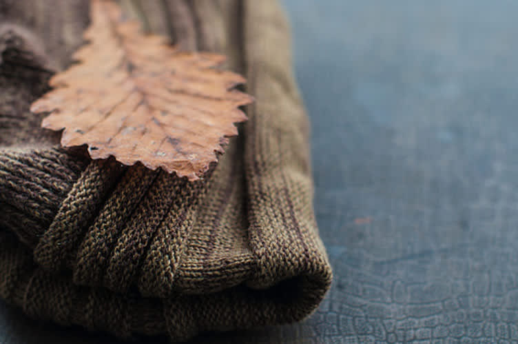 Warm scarf and dry leaf, fall weather wear concept.