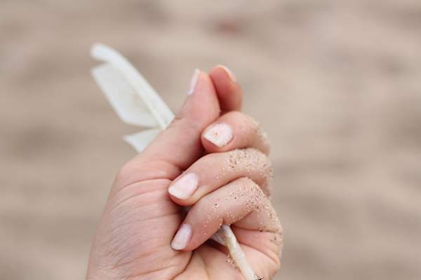 Close up of a hand holding a feather