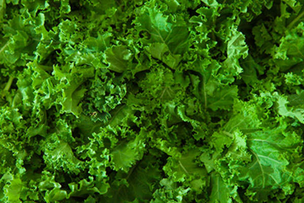 Kale