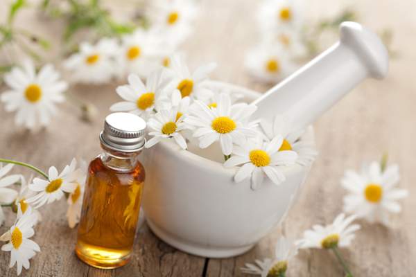 Essential oil and camomile flowers in mortar