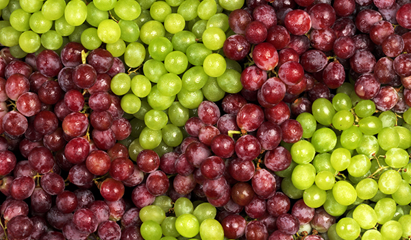 iStock-174531396.jpg