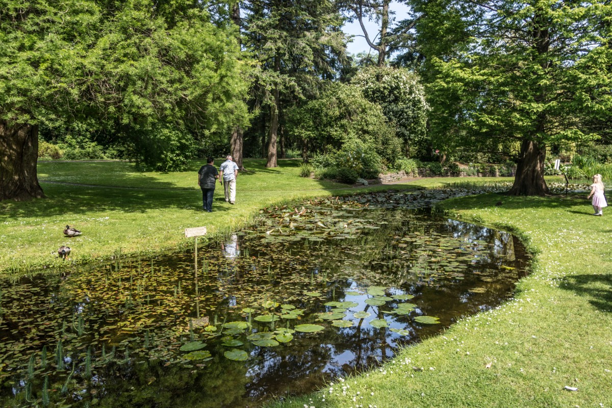 National Botanic Gardens Dublin