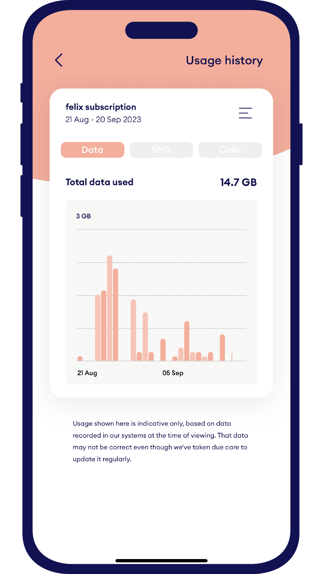 Check your usage in the felix mobile app