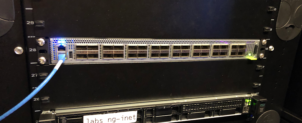 P4 capable switch