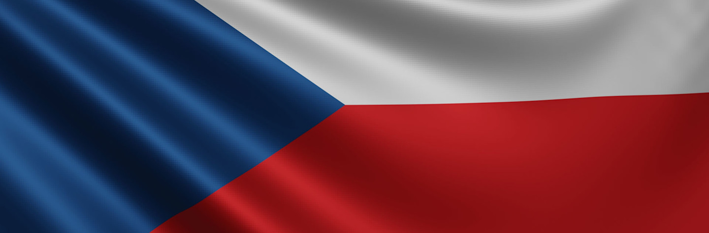 The Czech flag