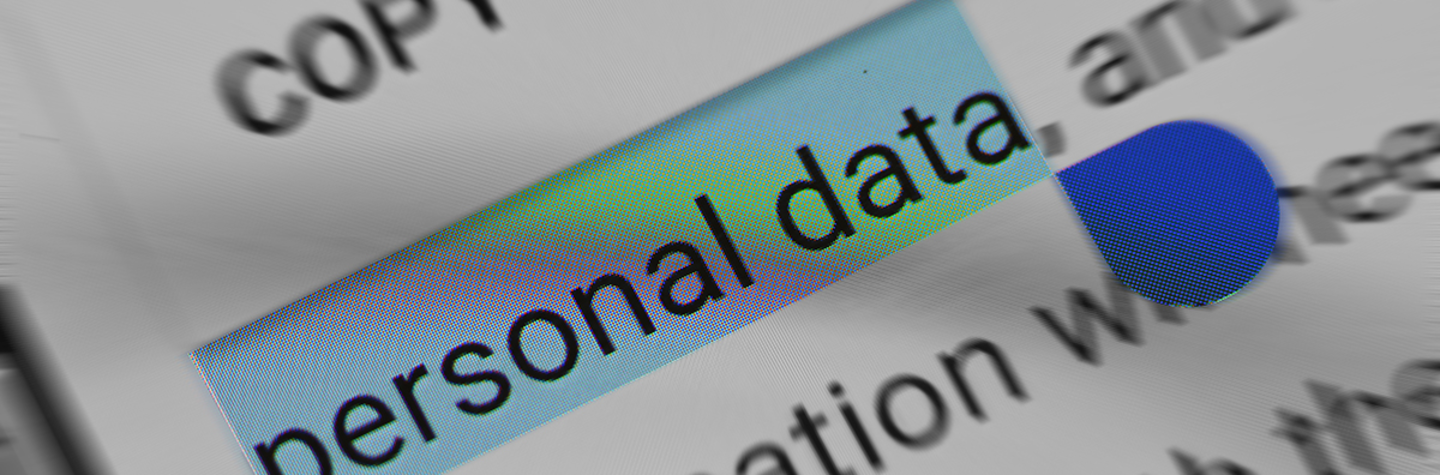 Detail of a screen showing the words personal data