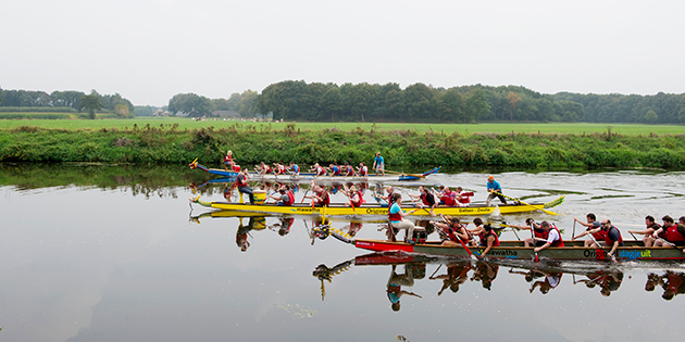 Teambuildingsweekend-roeiwedstrijd