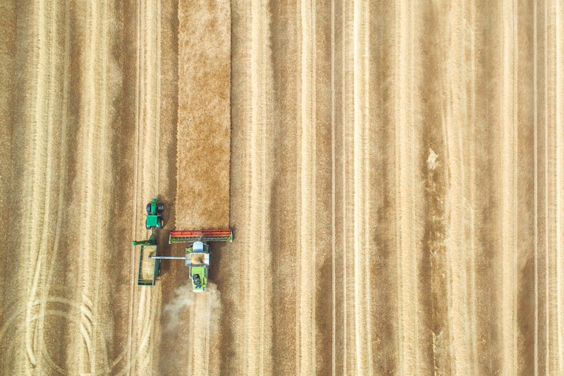 agridigital-wheat