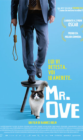 Mister Ove Mister Ove