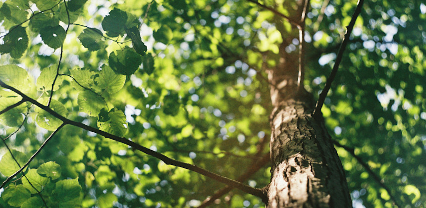 Val Biandino, gita di fine anno 2024 Val Biandino, gita di fine anno 2024