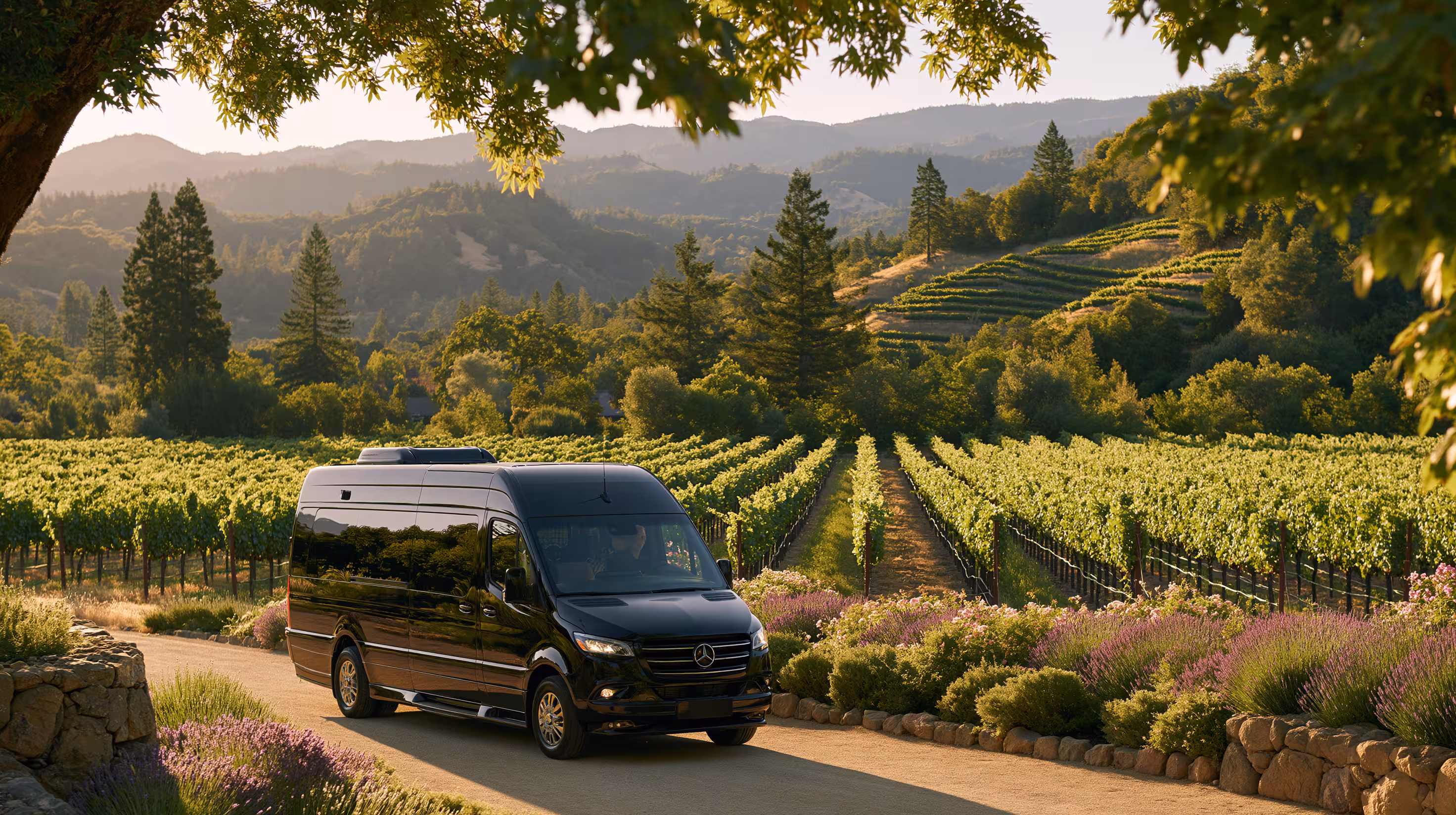 sfo-oak-napa-valley-4 converted