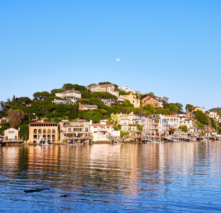 Tiburon