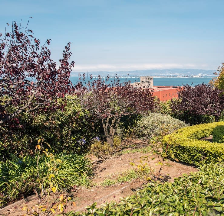 Telegraph Hill