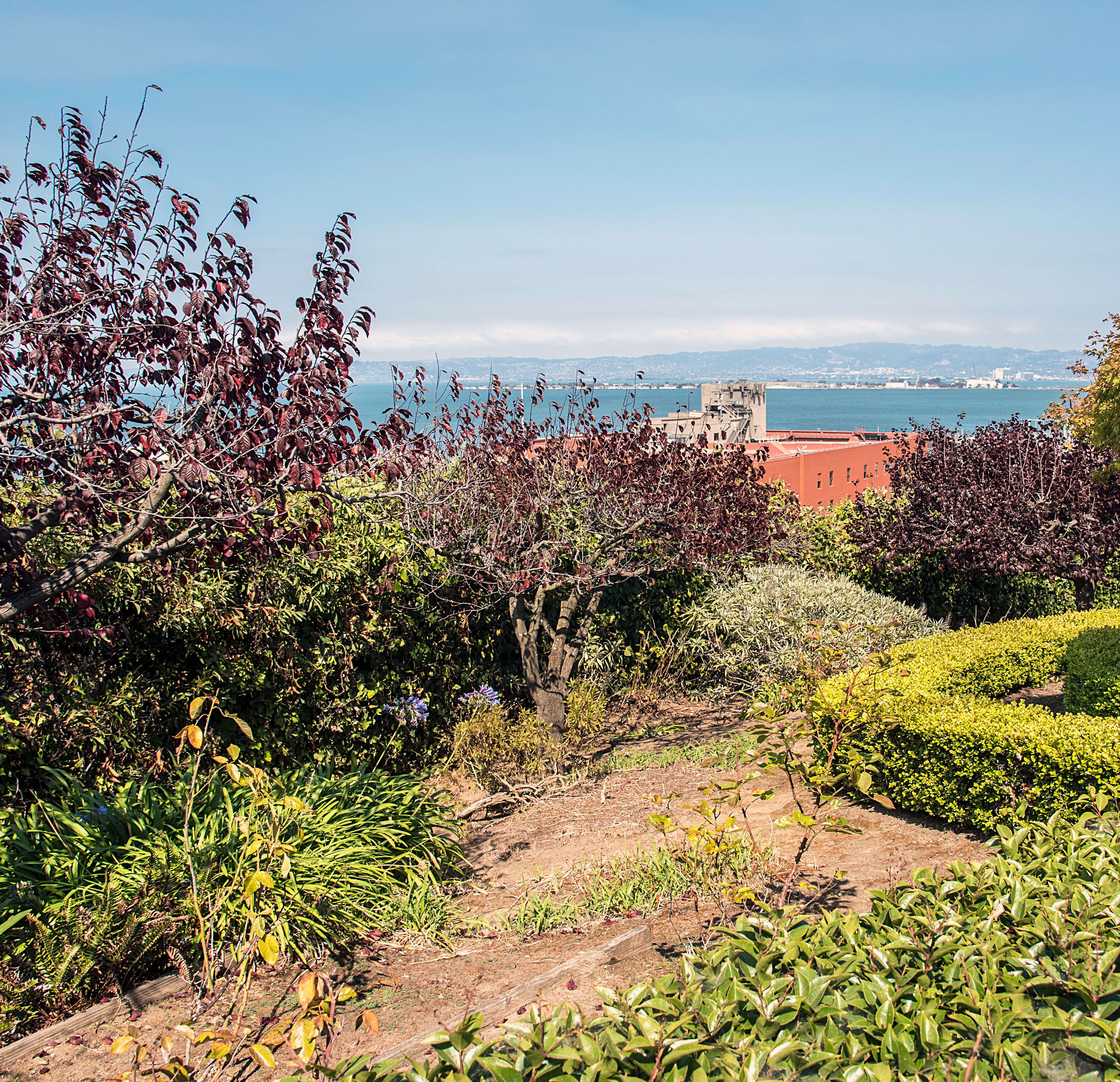 Telegraph Hill
