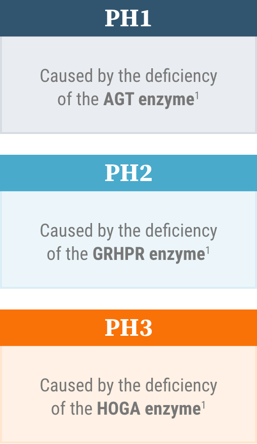 There are 3 known genetically defined types of PH: PH1, PH2, and PH3. All known types are caused by enzyme deficiencies. There are 3 known genetically defined types of PH: PH1, PH2, and PH3. All known types are caused by enzyme deficiencies.