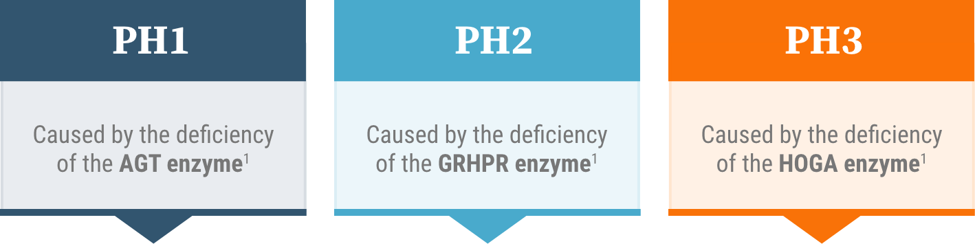 There are 3 known genetically defined types of PH: PH1, PH2, and PH3. All known types are caused by enzyme deficiencies. There are 3 known genetically defined types of PH: PH1, PH2, and PH3. All known types are caused by enzyme deficiencies.