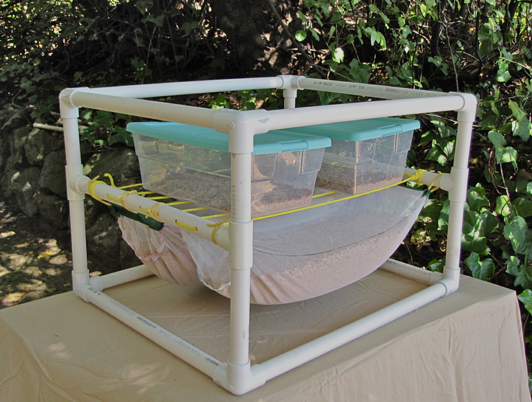 Instructor Daniel Imrie-Situnayake is a cofounder of Tiny Farms, a startup focused on the infrastructure of insect farming. IMAGE: Tiny-Farms.com