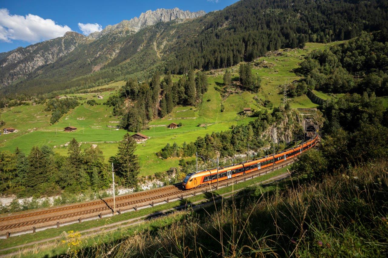 TG Train near Wassen