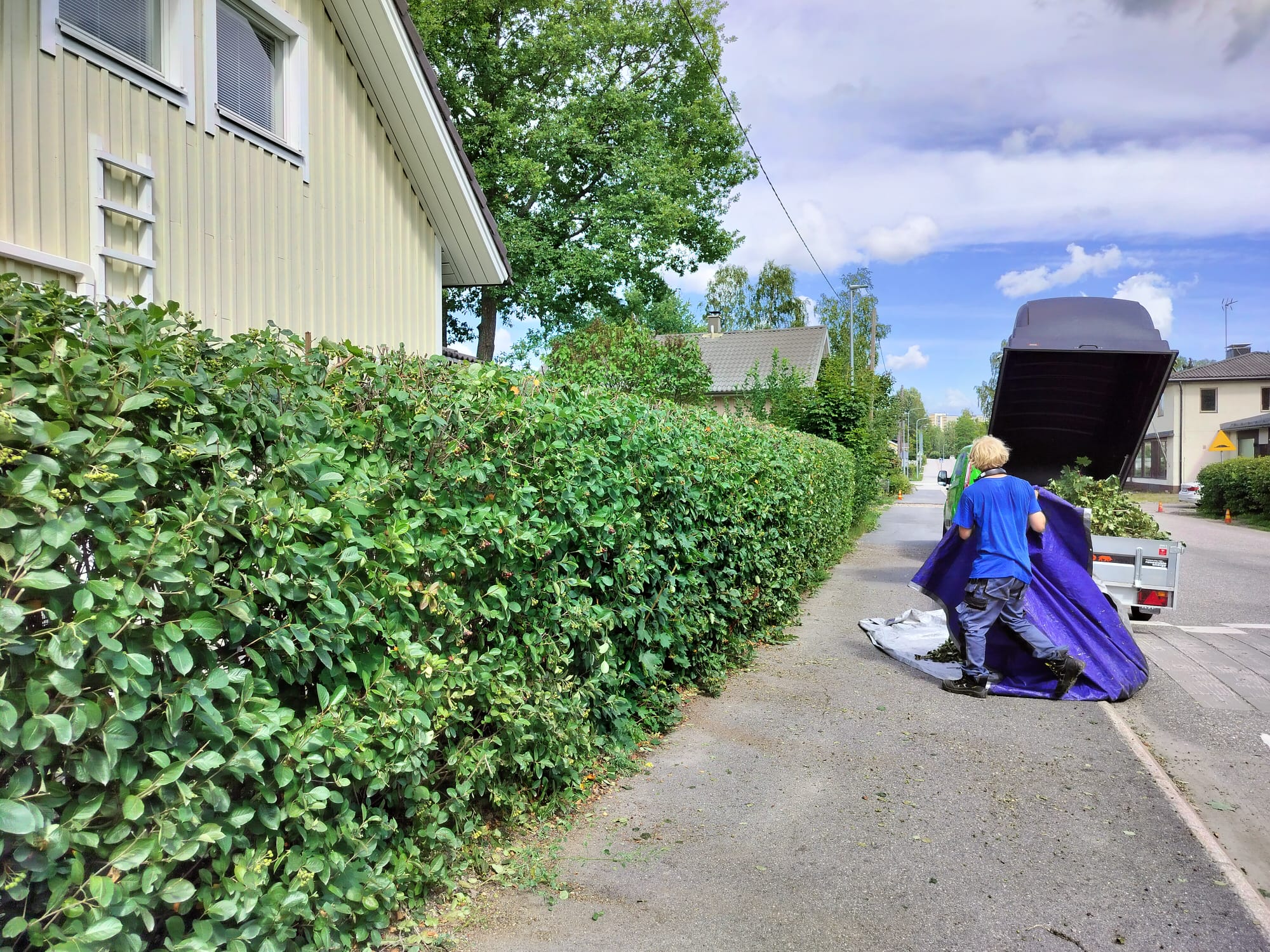 Etsitkö ammattitaitoista aronia-aidan leikkausta Helsingistä? Aronia-aidan leikkaukseen Helsingin paikalliset palveluntarjoajat varmistavat, että aitasi pysyy siistinä ja elinvoimaisena jokaisena vuodenaikana.