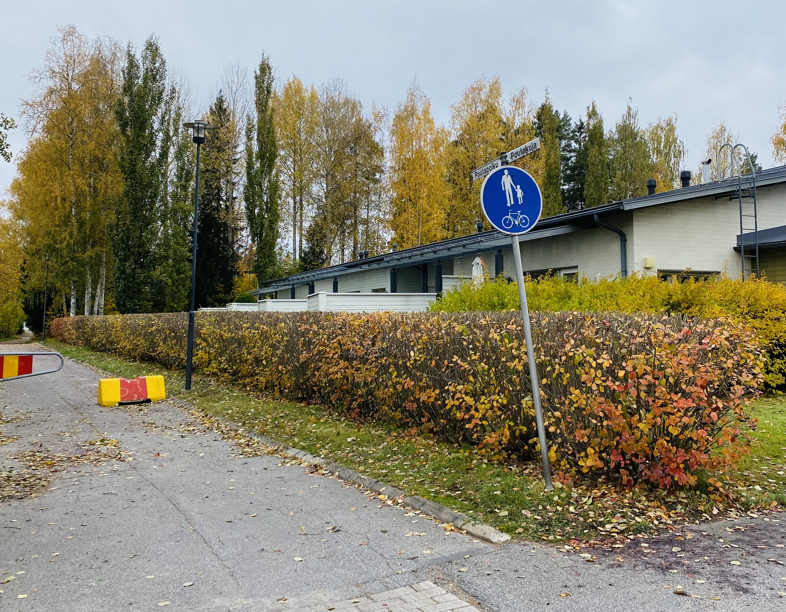 Etsitkö taloyhtiölle yritystä hoitamaan pihatyöt? Helsingin paikalliset yritykset hoitavat pihatyöt tarpeitesi mukaisesti.