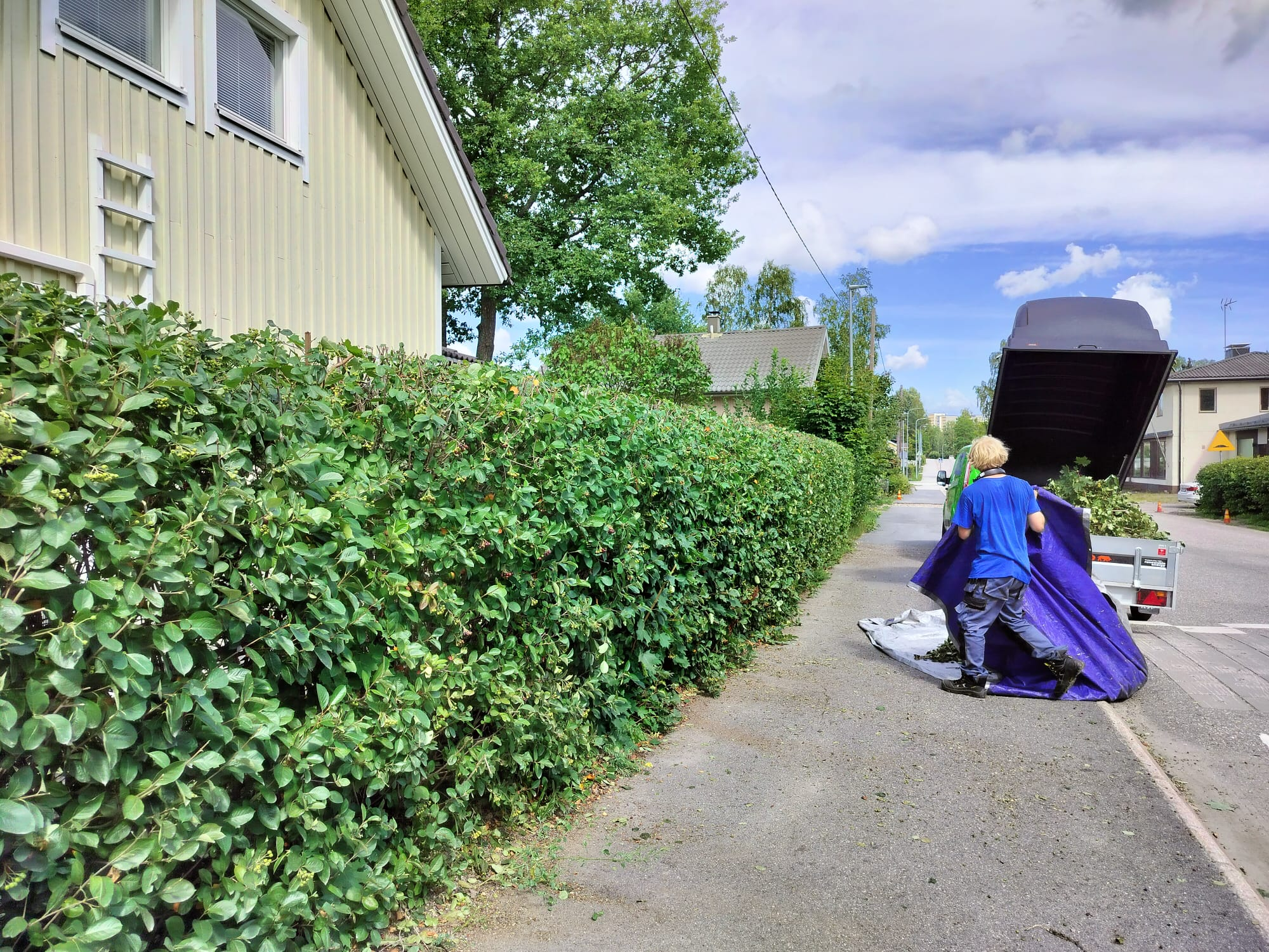 Etsitkö ammattitaitoista aronia-aidan leikkausta Oulusta? Aronia-aidan leikkaukseen Oulun paikalliset palveluntarjoajat varmistavat, että aitasi pysyy siistinä ja elinvoimaisena jokaisena vuodenaikana.