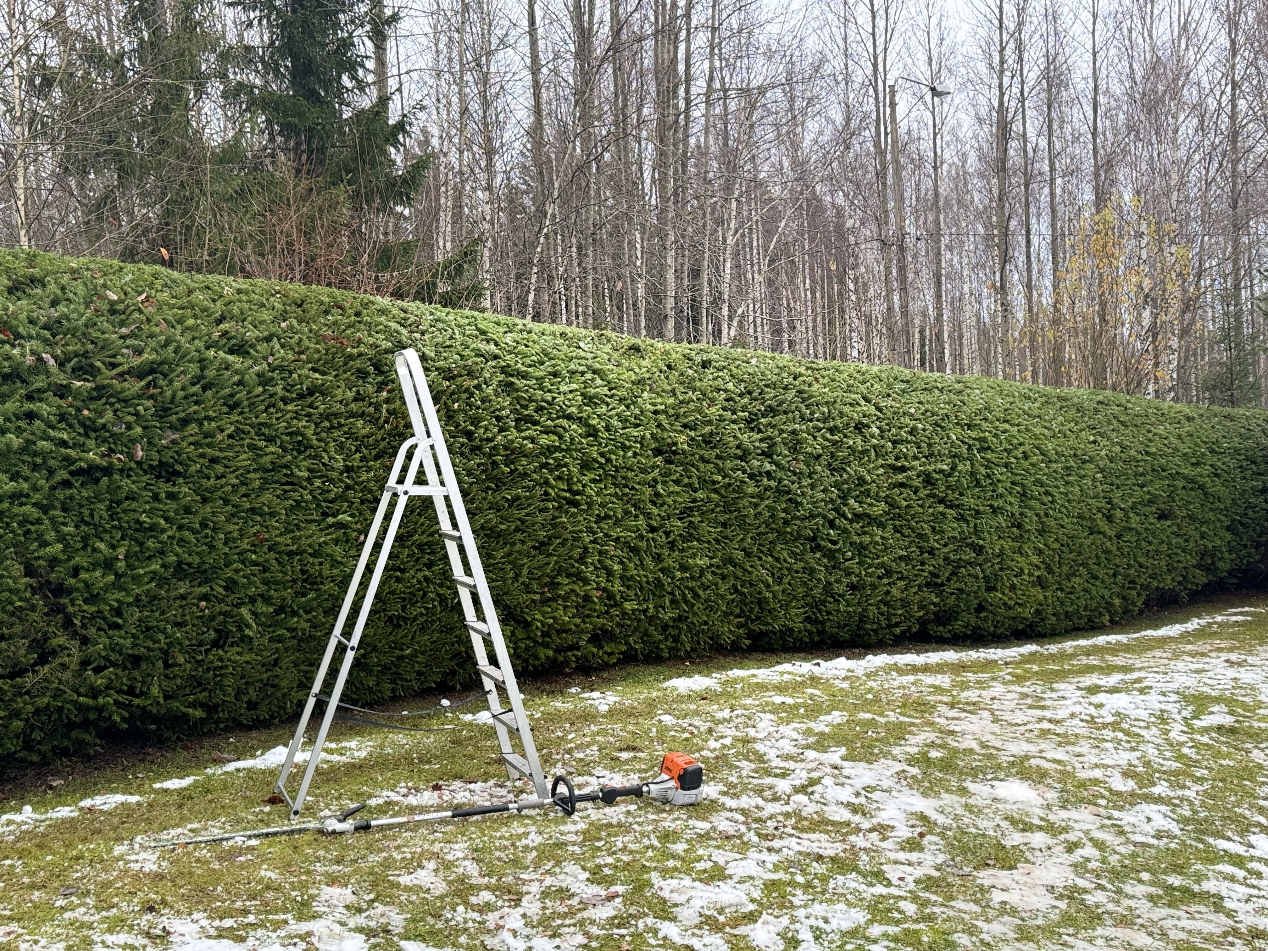 Etsitkö ammattitaitoista yritystä istuttamaan kuusiaitasi Helsingistä? Helsingin paikalliset palveluntarjoajat varmistavat, että kuusiaitasi asennetaan oikein.
