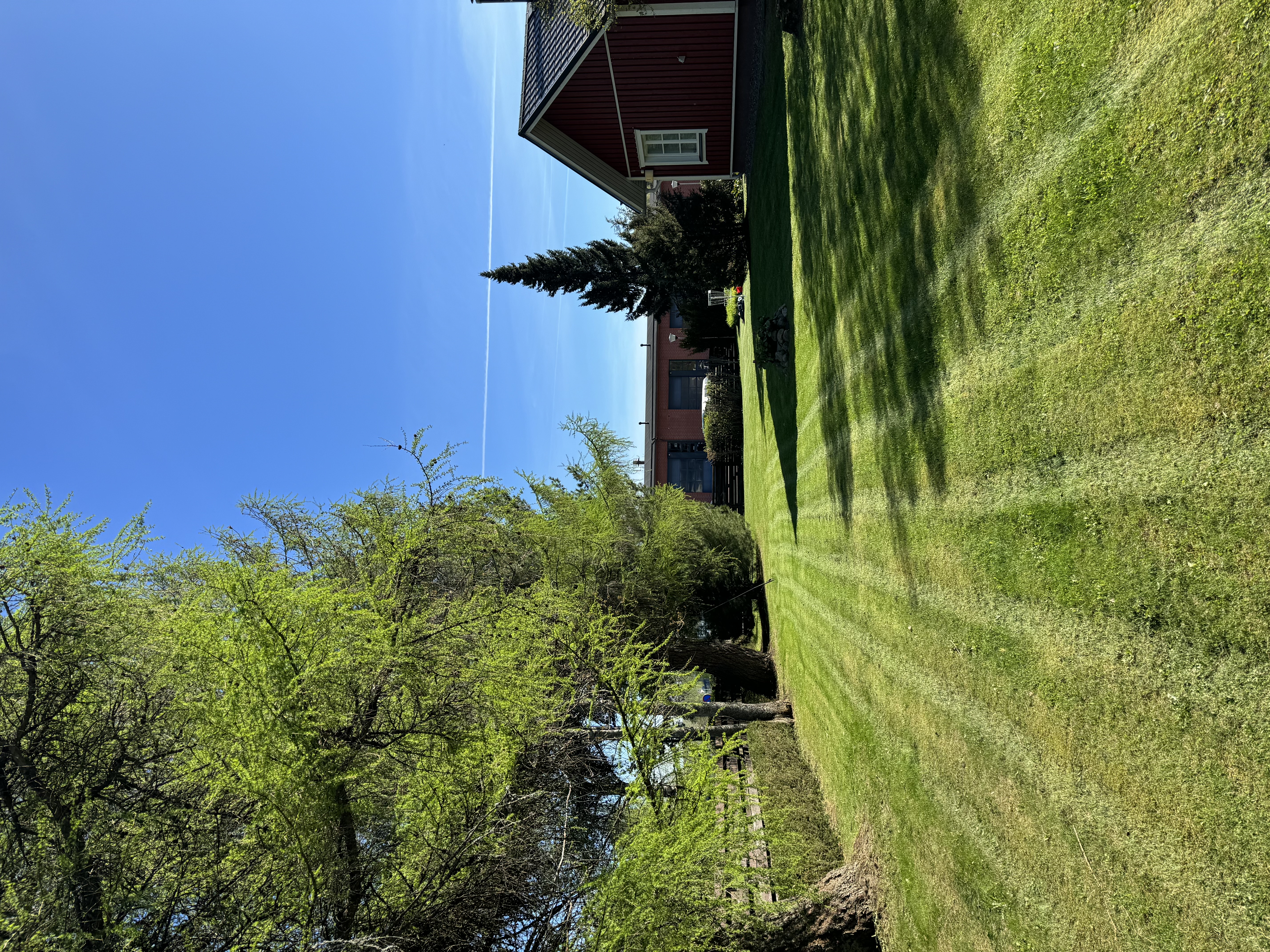 Etsitkö ammattitaitoista yritystä hoitamaan omakotitalosi pihatyöt? Helsingin paikalliset palveluntarjoajat varmistavat, että pihasi saa parasta mahdollista kohtelua.