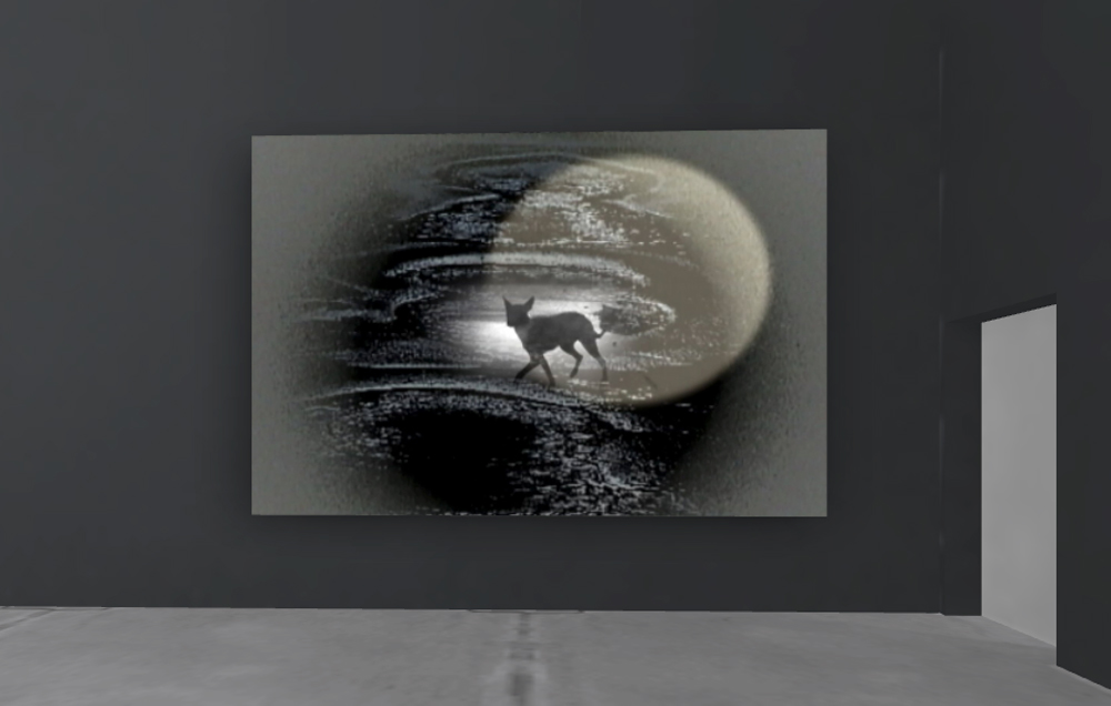 Obra de SILVIA RIVAS- Nocturnos-anubis perdido