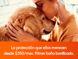 Mujer abrazando a un perro. La protección que ellos merecen desde $350 por mes. Primer baño bonificado.