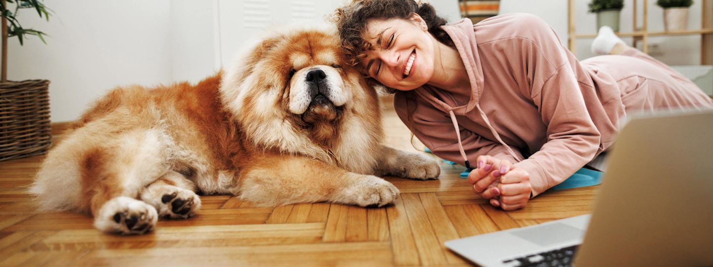 Hol dir jetzt Nachtstrom für deine Speicherheizung Frau liegt mit ihrem Hund vor Heizung und Laptop.