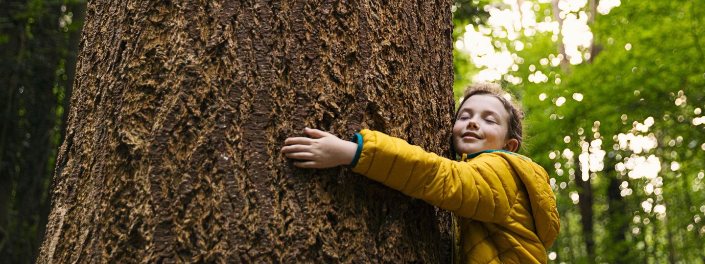 Ein Kind in gelber Jacke umarmt einen Baum