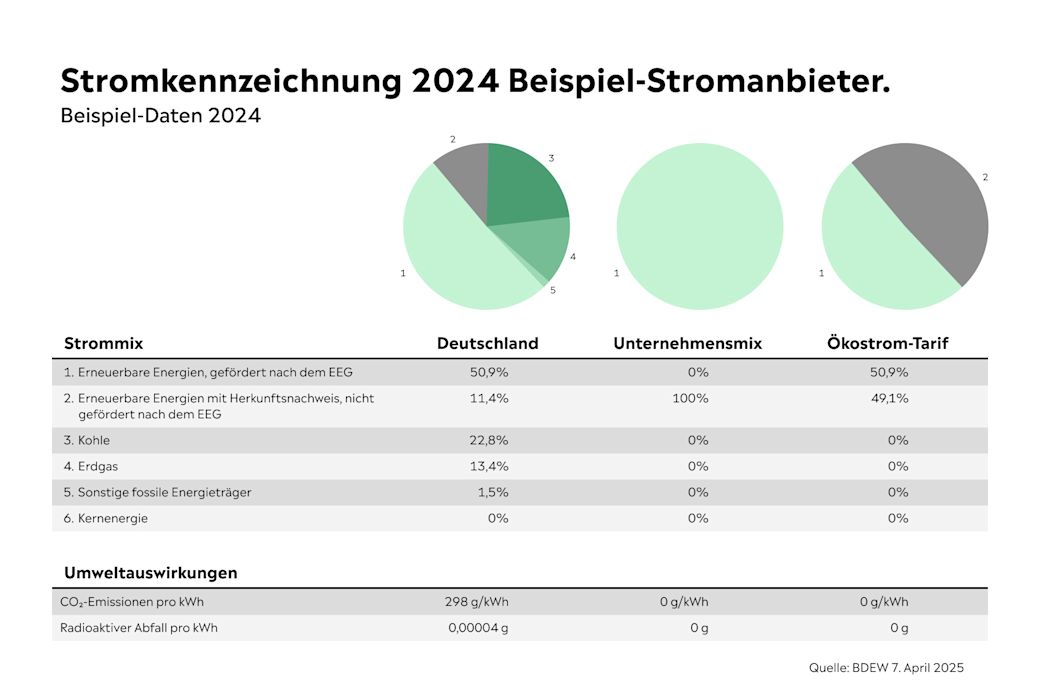 So kann der Strommix bei deinem Anbieter aussehen Grafik Beispiel einer Stromkennzeichnung eines Stromanbieters in Deutschland 2024