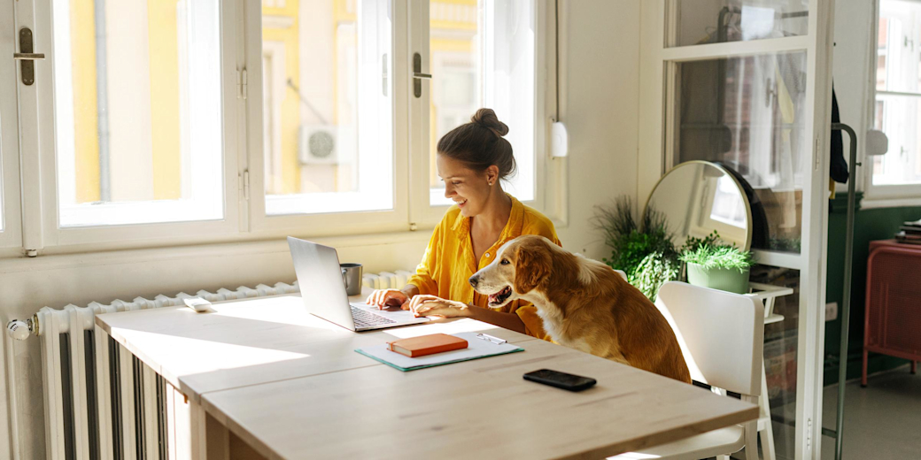 Der aktuelle Strompreis unter der Lupe Eine junge Frau arbeitet zu Hause am Laptop mit ihrem Hund.