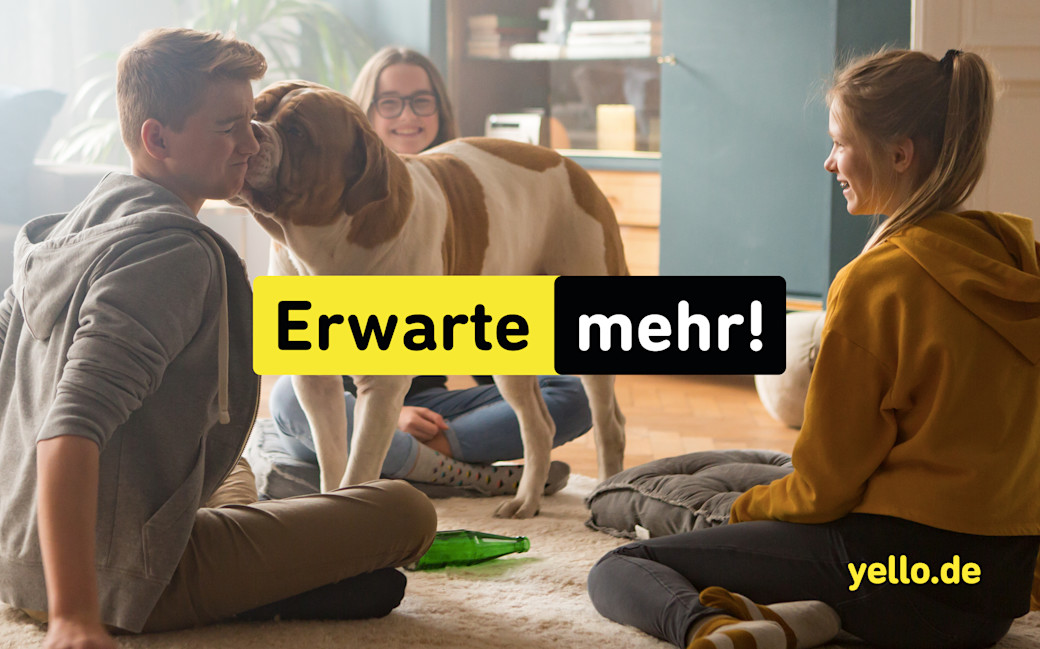 Yello bricht alle Erwartungen.