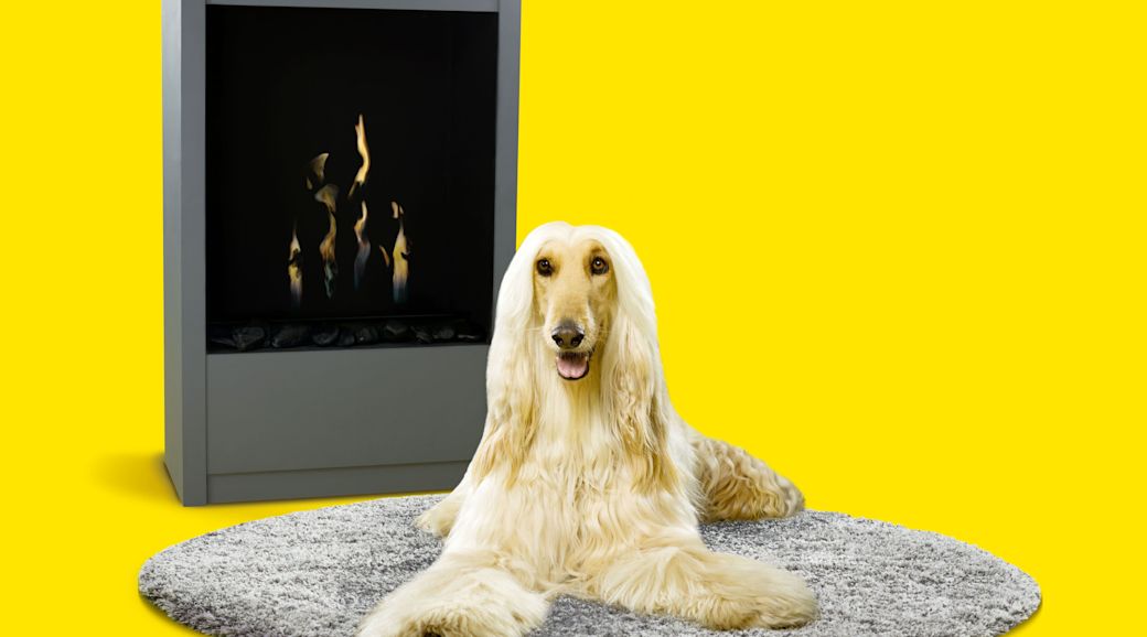Ein langhaariger, Hund liegt auf einem runden grauen Teppich vor einem Kamin.