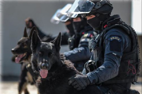 I cani della Polizia di Stato: dall’addestramento alle operazioni speciali