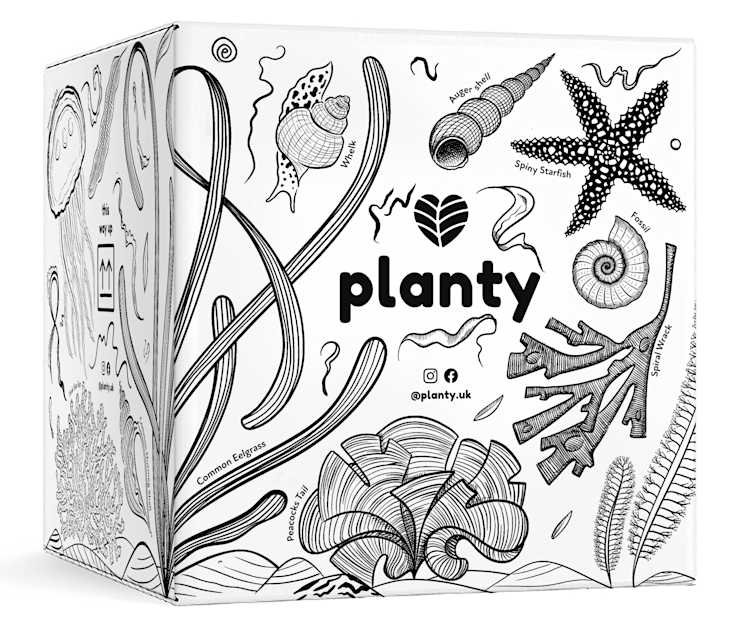 Celebrating British Marine Life With Our Limited-Edition Box